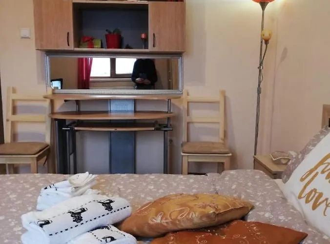 Casa Elena * Брашов